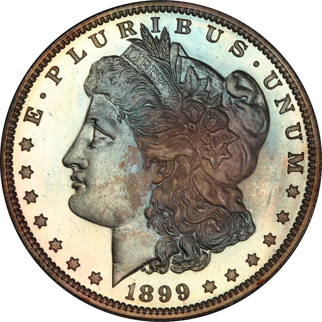 1899 1 PF Dollars Coin